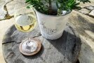 Glas mit Wein vor kleiner Pflanze