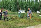 Personen mähen am Waldrand