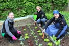 Frauen sitzen in der Hocke im Garten neben Salat