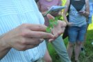 Eine Hand hält eine Blüte