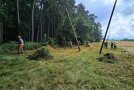 Personen mähen am Waldrand