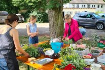 im Garten waren die Arbeitsplätze hergerichtet