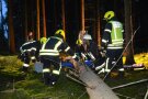 Feuerwehrleute stabilisieren einen gefällten Baumstamm