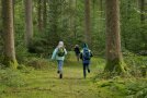 Kinder laufen durch den Wald