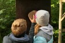 Kinder zählen Jahresringe an einer Baumscheibe