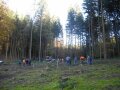 Viele Leute stehen in einem kahlen Waldstück