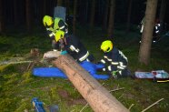Ein Feuerwehrmann kniet auf dem Boden und stützt eine vom Baum eingeklemmte Puppe
