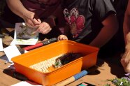 Bastelstand mit Pflanzendruck und Perlen