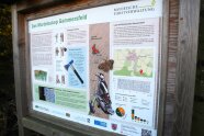 Eine Schautafel steht am Waldrand