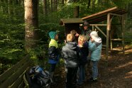 WEZ-Mitarbeiter erklärt Kindern im Wald die Baumscheibe