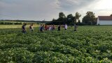 Interessierte Landwirte begutachten das Versuchsfeld