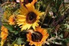 Blumengesteck mit Sonnenblumen