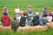 Kinder sitzen im Halbkreis auf Strohballen auf einer Wiese, eine Landwirtin erklärt etwas