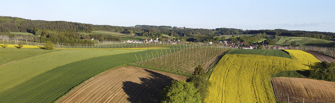 Panoramabild mit Wäldern, Hopfengärten und Raps-, Kartoffel- und Getreidefeldern