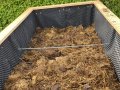 Grober Kompost/Mist (ca. 20 - 30 cm): als eigentliche Kraftquelle für das Hochbeet dient eine Schicht grober, noch nicht völlig verrotteter Kompost ohne Wurzelunkräuter.