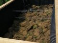Rasenstücke: Damit der Kompost nicht durchrieselt, deckt man das Gehölz mit den umgekehrt aufgelegten Rasensoden ab. Laub: falls vorhanden kann man eine Schicht Laub darüber geben.