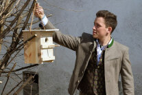 Junger Mann hängt hölzernen Vogelnistkasten in Strauch