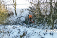 Mann mit Helm schneidet mit Motorsäge eine Hecke im Winter