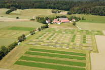 Felder und Parzellen aus der Vogelperspektive 